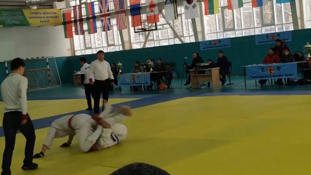 Джиу-Джитсу 2015 международный