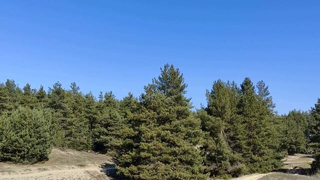 Что расскажут глаза о человеке. Какой цвет глаз- такой и характер...