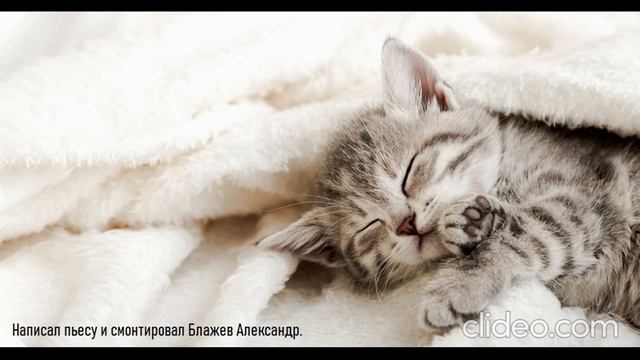 Котёнок не может уснуть.