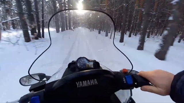 На снегоходе  в сосновом бору Корнеевка 3 января 2022год.