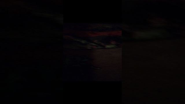 Научный монстр.3gp