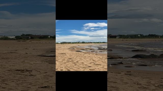 Ладога, как на море