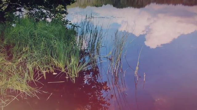 66a6774d59da6d59f6f3b74910547a6e