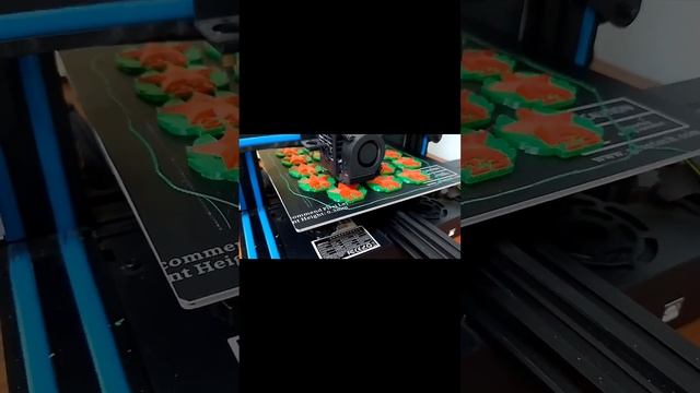 Робик 23 февраля