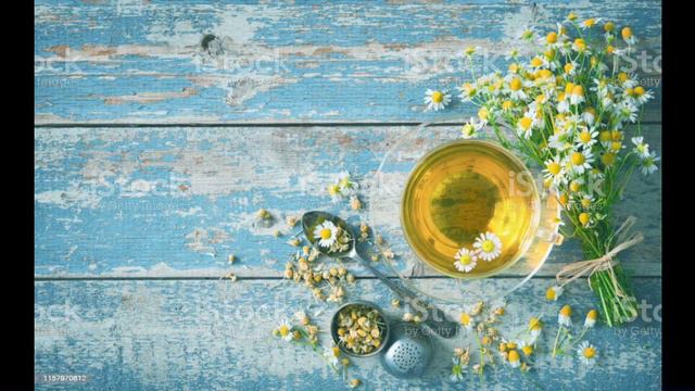 #FilmoraGo -2022-01-28 09:09:28