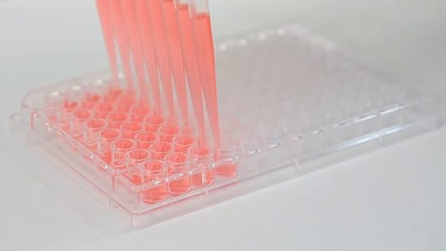 Discover The Viaflo Voyager: The Electronic Multichannel Pipette With Adjustable Tip Spacing