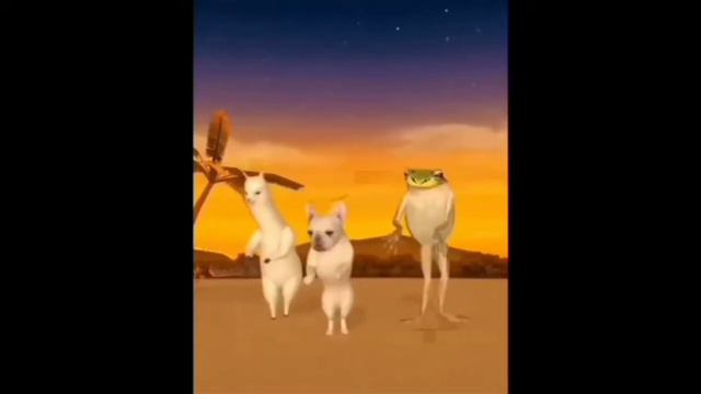 Интересные животные