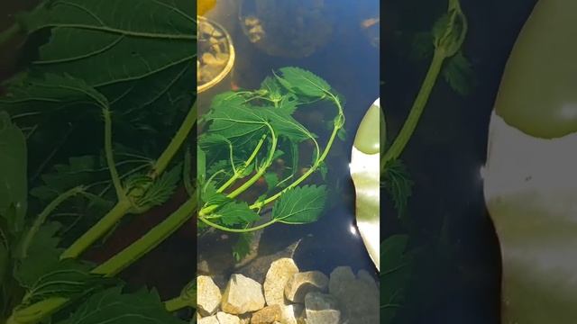 Daf65a22706fe5ccf360ac49094c2a1e