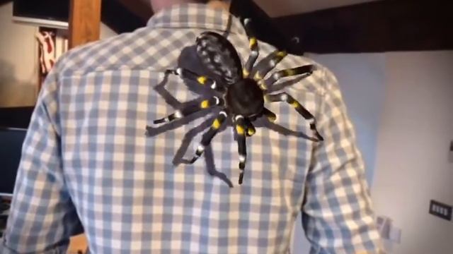 Real Scary Spiders — а не такие уж и страшные... Игра для IPhone, IPad и Android