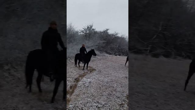 Высшая лига Алхан-юрта ☝️(2)