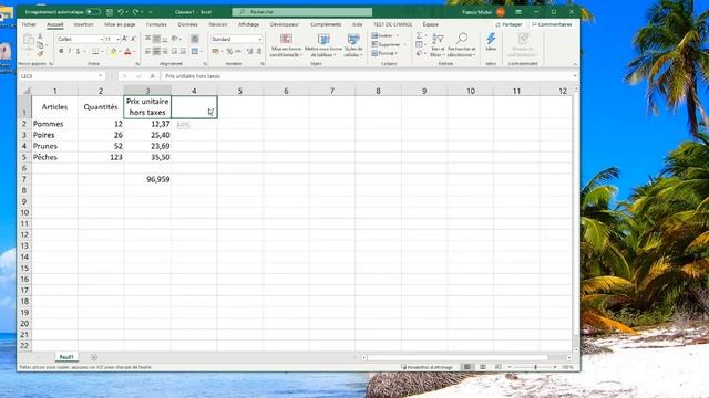 Excel 11 Les Bases