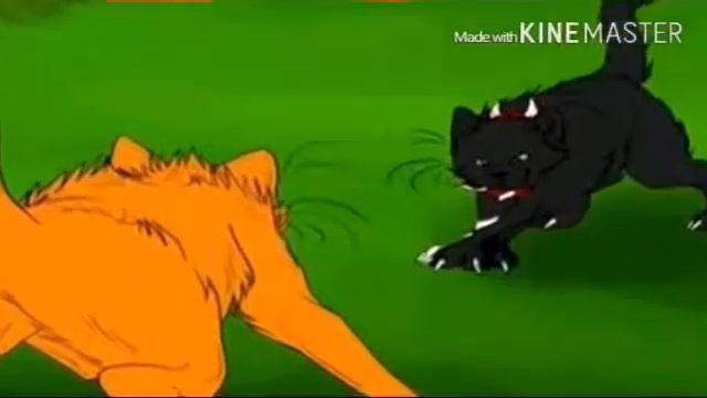 Когда я Огнезвёзд