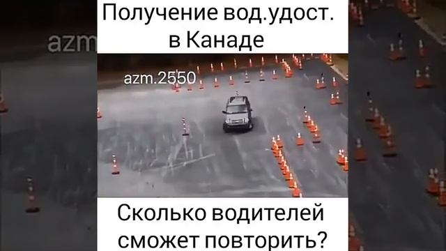 получение водительского удостоверения в Канаде