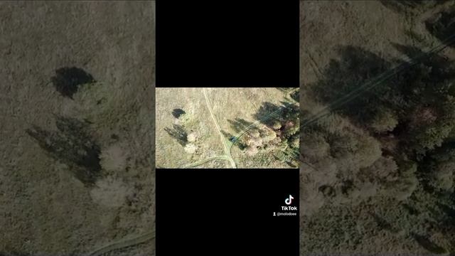 НАШЛИ ХОХЛОВ