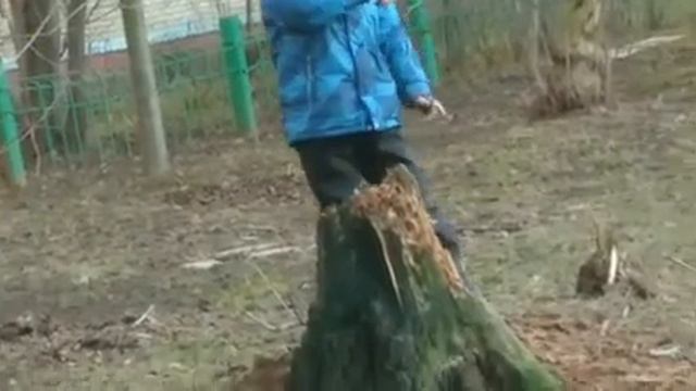 D670b9108da965334b78f24347d14e3e