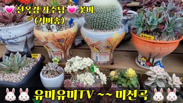 💗@유미유미TV ~미션곡 🐰💗 @전옥경TV #꽃비 🐰💗 노래 라온이(커버송) 💗