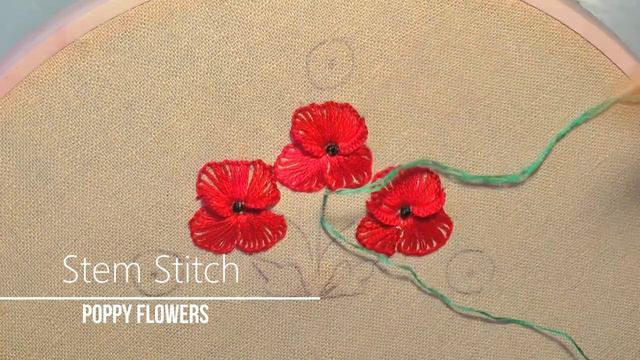 3b584c4af091a02f1c229d029c7978fa