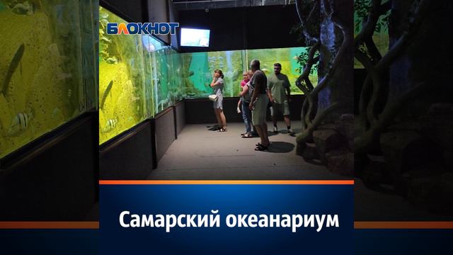 1e603f0f0d356f4ed064f91896339d2b