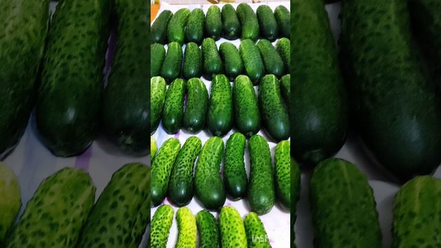 Итоги уходящего 2023 года.