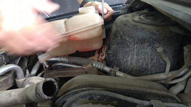 Волшебство в чистоте