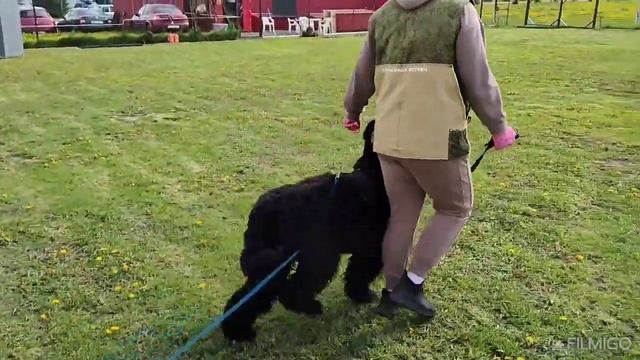 Белгород. Д.Ц  ,,Чемпион'' Инна и Луна