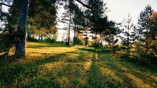 Природа Кировской области .Гора Чумбылат Чембулат. Скала Часовой. Заказник Пижемский.