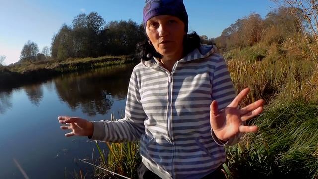 Река Салаца Осенняя плотва Отличный клёв Кто всплывает из воды?