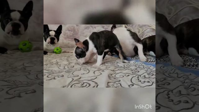 28 июля 2022 г.