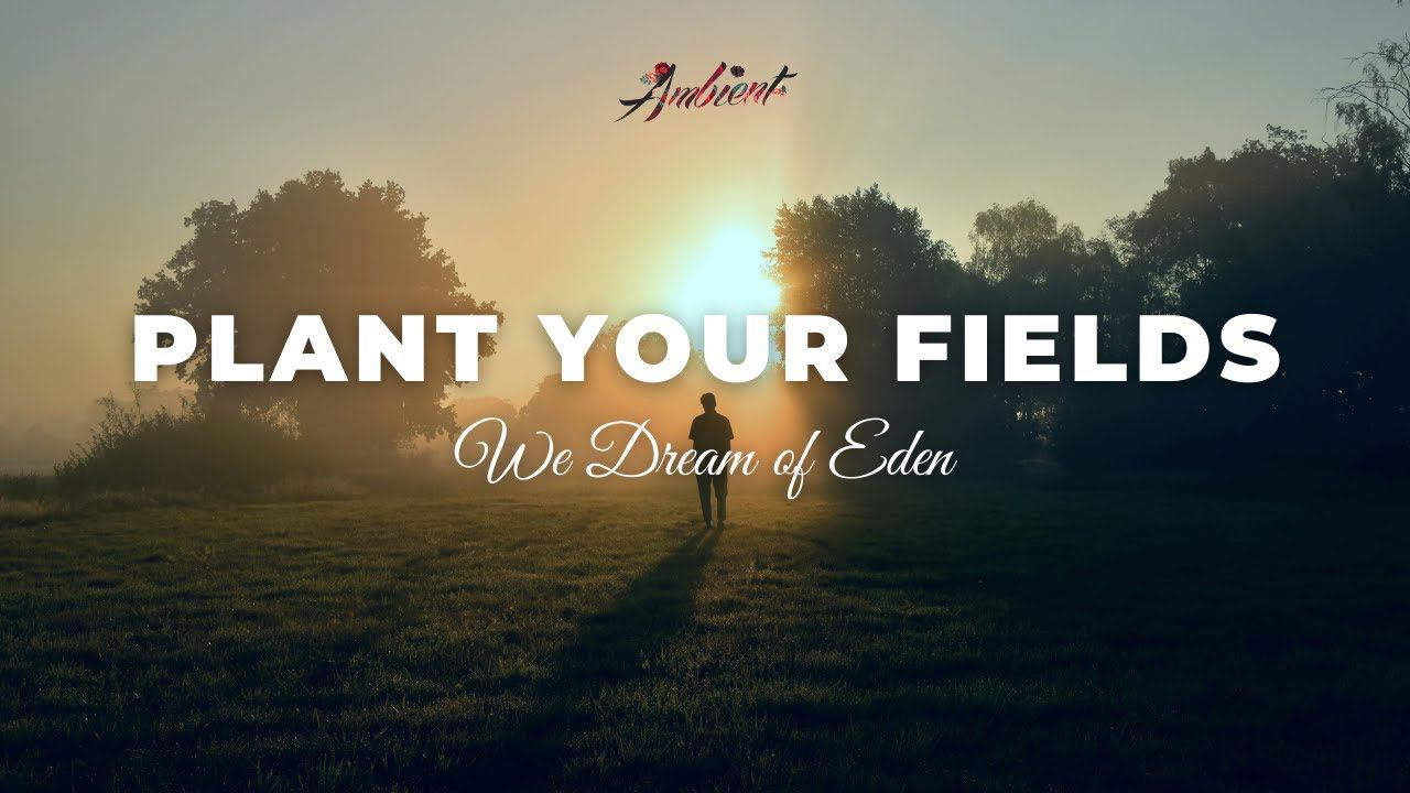We Dream Of Eden - Plant Your Fields [relaxing Cinematic Ambient]