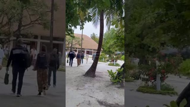 Мальдивы. Maldives. 马尔代夫。 117