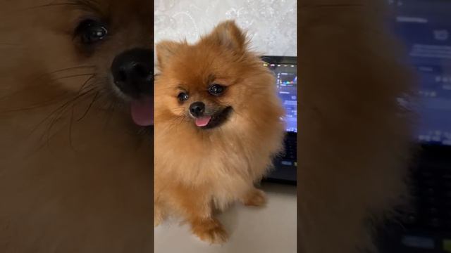 67eda59e185d79cf1db0c661c7568b6a