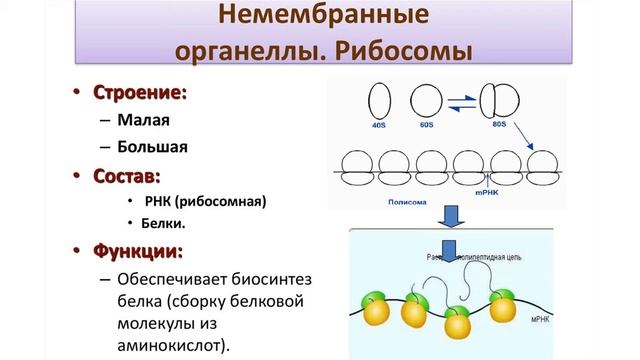 Учим Делать С Любовью