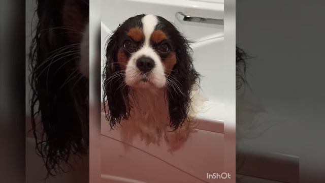 9ce9bd771e47c6cc03c0d205cc91de0c