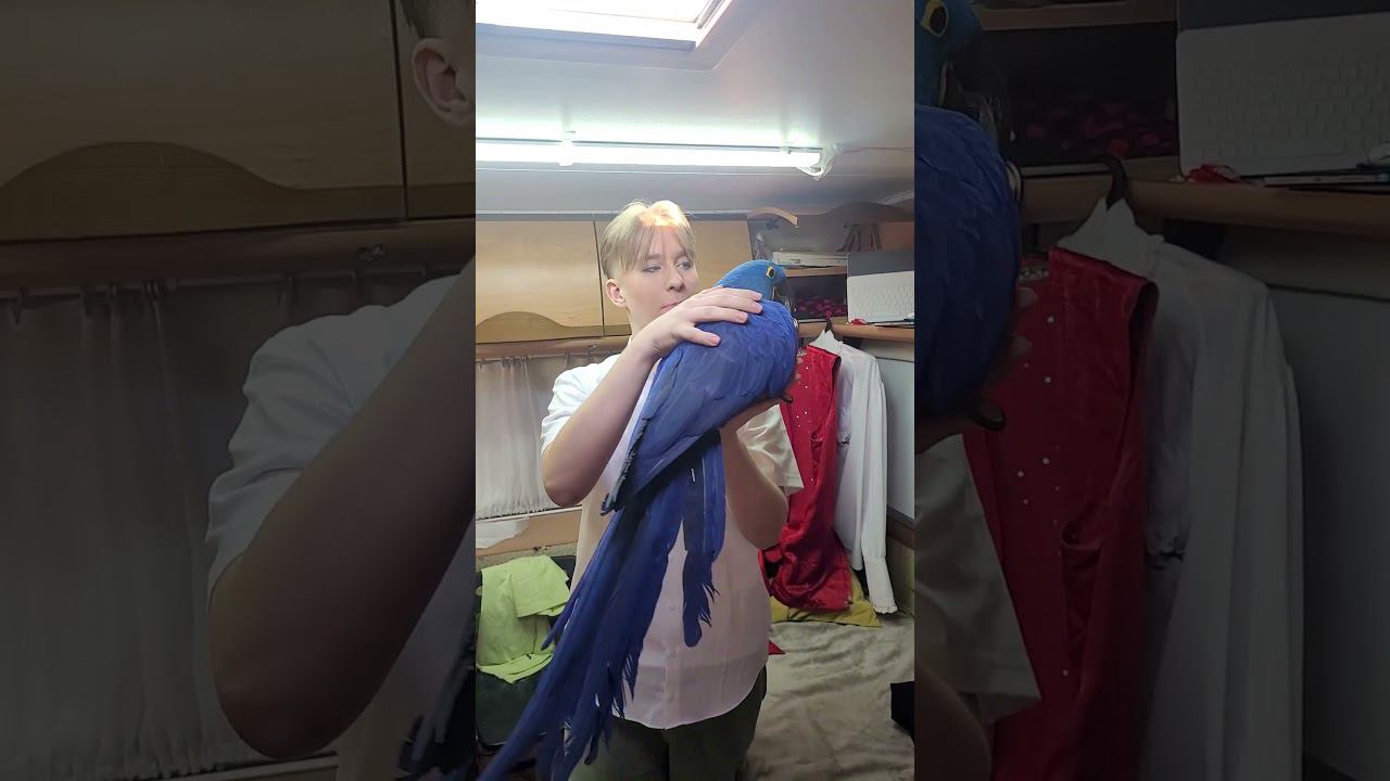 3d665a903391fe8e399525542734c76e