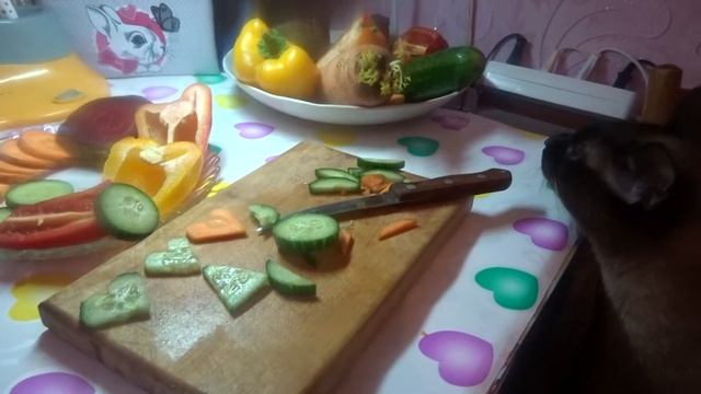 ДЕНЬ СВЯТОГО ВАЛЕНТИНА Подарки на День святого Валентина ДОМАШНИЕ ДЕКОРАТИВНЫЕ КРЫСЫ ВИДЕО@A4a4a4a4