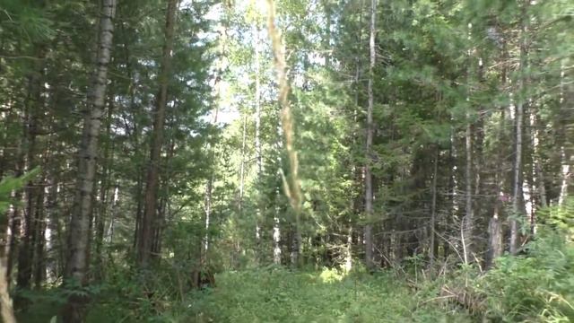 Как мы с Надей жили  в таежной деревне Большая речка 3 недели. ч-8