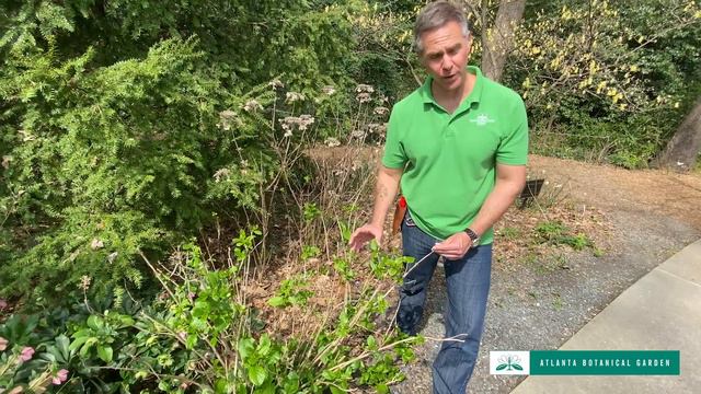 Tips To Maintain Your Yard At Home