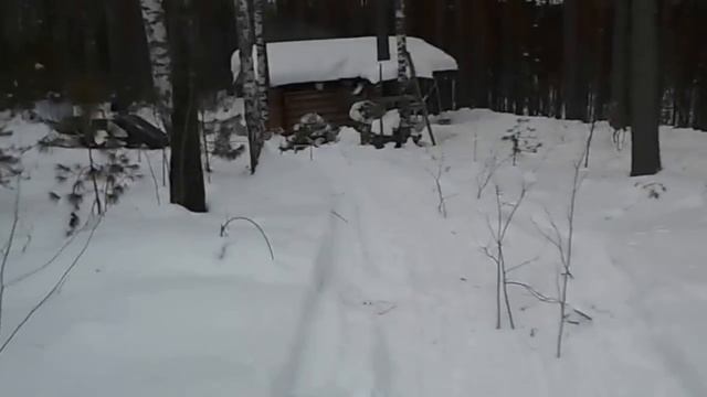 Декабрь 2014 года.В тайге у избушки.