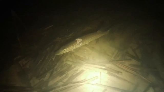 0576903b92ac3bdbe9fc934268af9c68