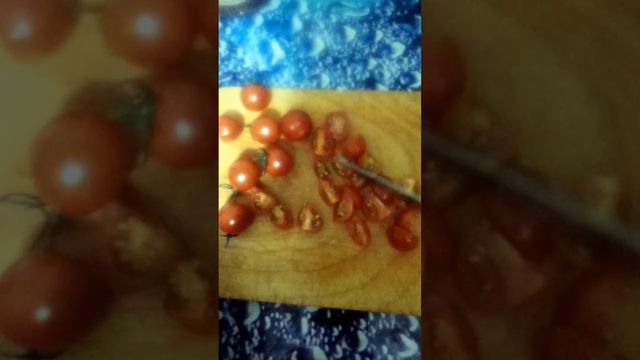 Готовим пасту под соусом 