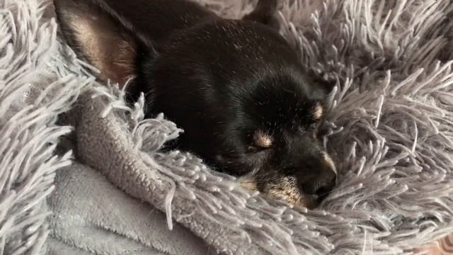 Две принцессы