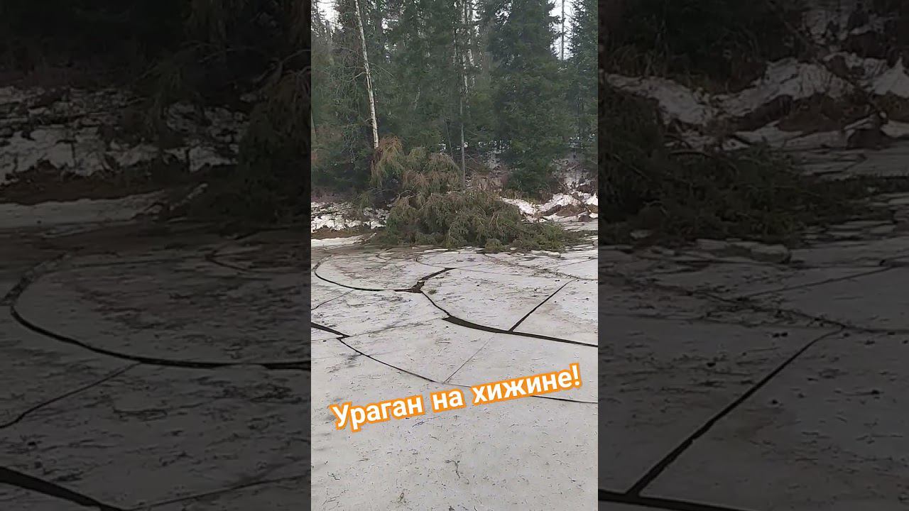 Порывистый ветер на хижине в тайге, последствия!