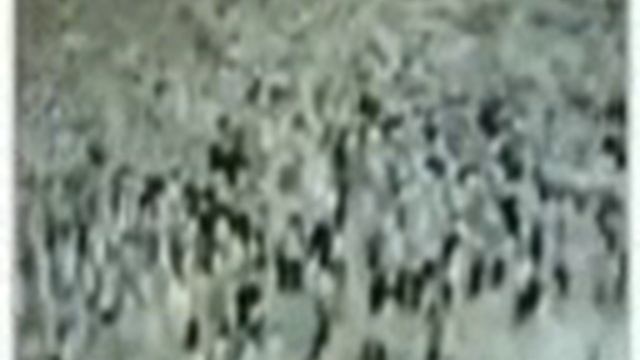 86a8aa11fc201126f40239c583778466