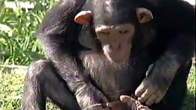 5d4d8045738c940a5ace42d0e649edf4