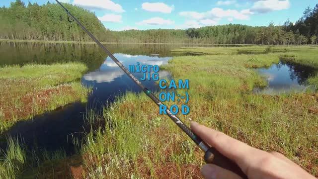 Micro Jig And Cam On Rod 28.06.2020.