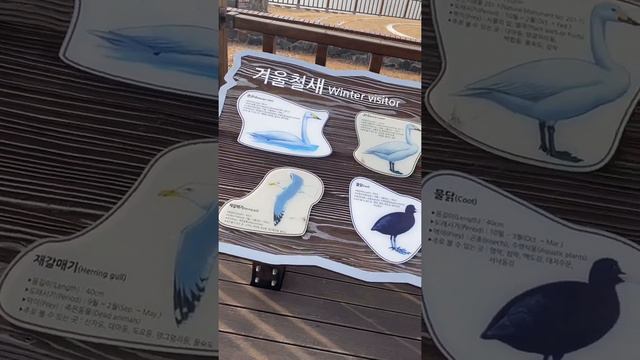 설날 2020 (Новый год по лунному календарю)