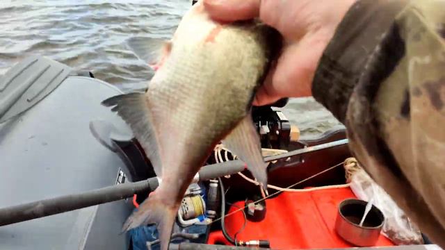 D9fa79bfab5e66a20e00c3fa4fdd0a40