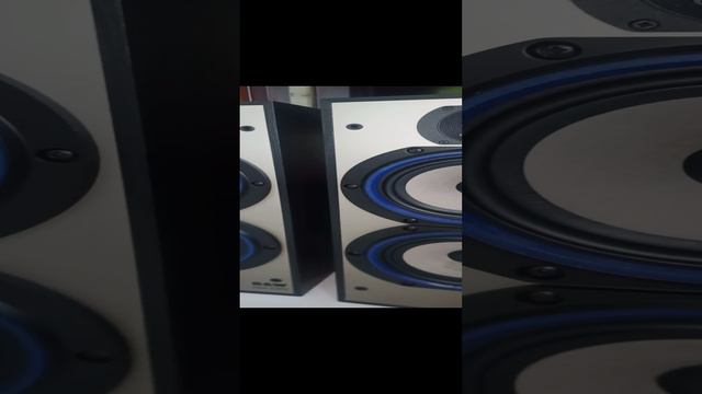 акустика колонки B&W DM220 огромные полочники
ЗЯ (закрытый ящик) баса море