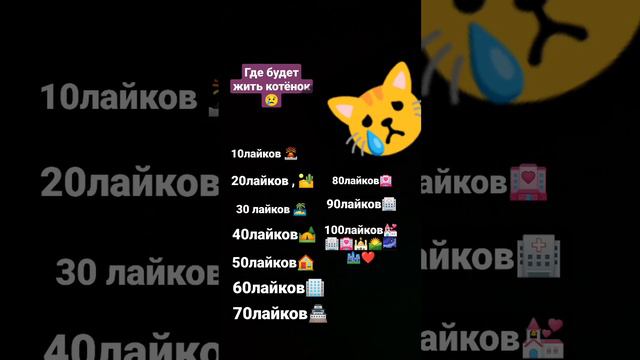 где будет жить котик😢😿