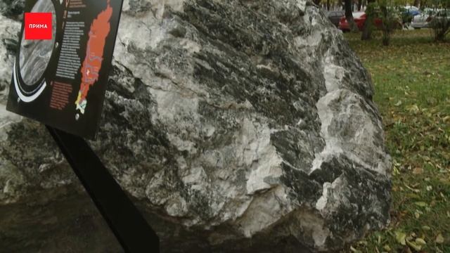 Локация №91: музей геологии СФУ